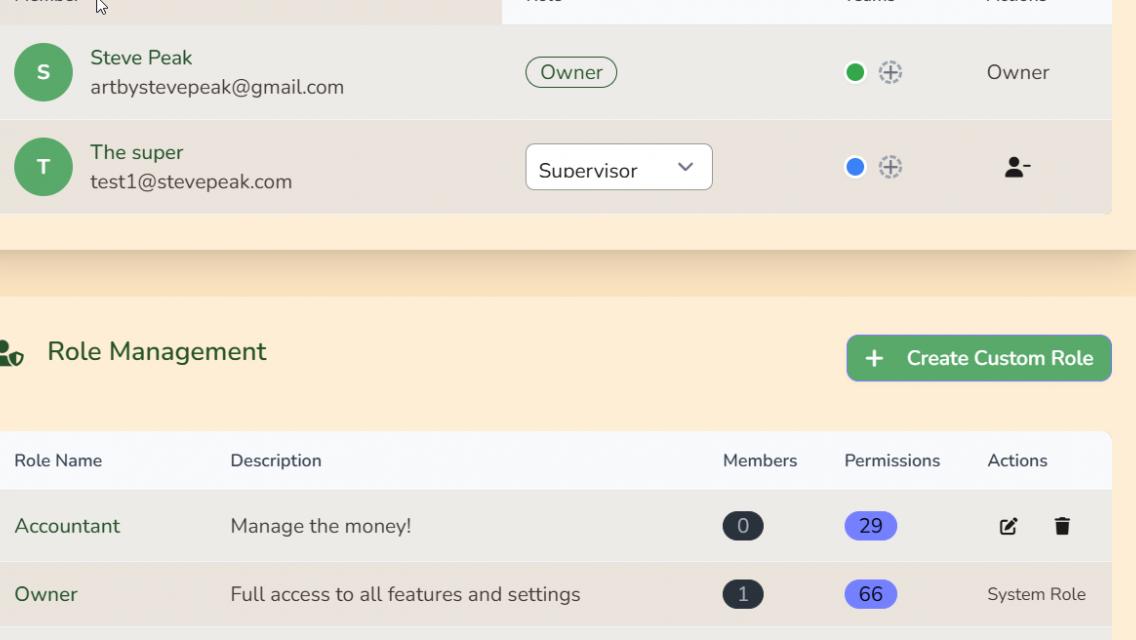 Role management table with edit buttons and permission summary